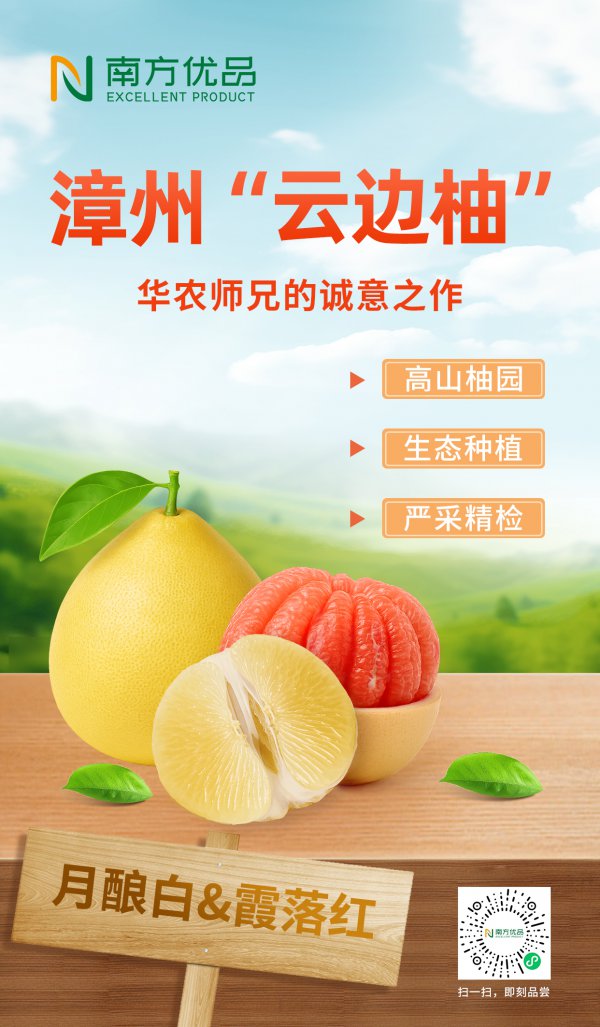 秋意漫岭南 | 再见漳州峻岭的“云边柚”，华农师兄的匠心之作